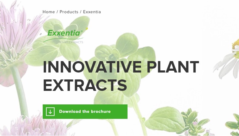 Exxentia has launched a new website!